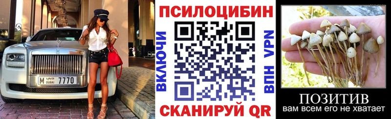 Псилоцибиновые грибы Psilocybe  где продают наркотики  Краснодар 