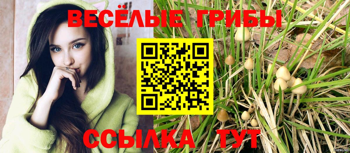 Галлюциногенные грибы MAGIC MUSHROOMS  Краснодар 