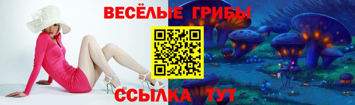 Краснодар  Галлюциногенные грибы MAGIC MUSHROOMS  Вход с VPN  Галлюциногенные грибы Psilocybine cubensis 